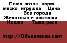 Плюс лоток, корм, миска, игрушка. › Цена ­ 50 - Все города Животные и растения » Кошки   . Тыва респ.